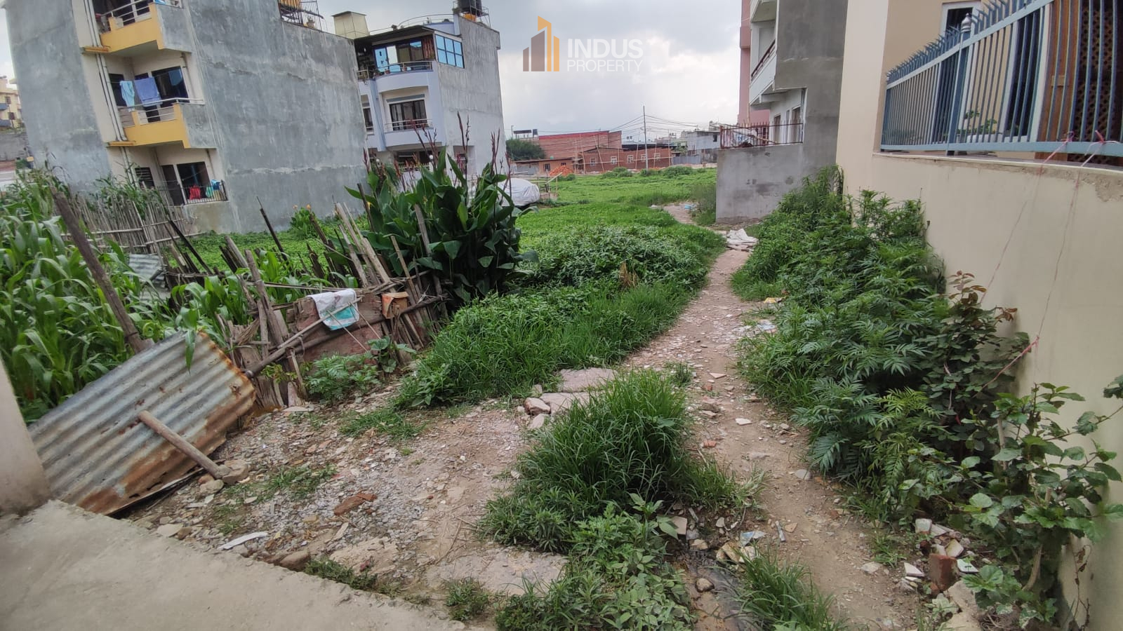 Picture of Mahalaxmi Municipality, Bagmati